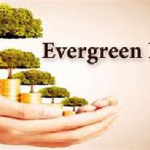 The Evergreen Fund: A Sustainable Investment Strategy for Long-Term Growth